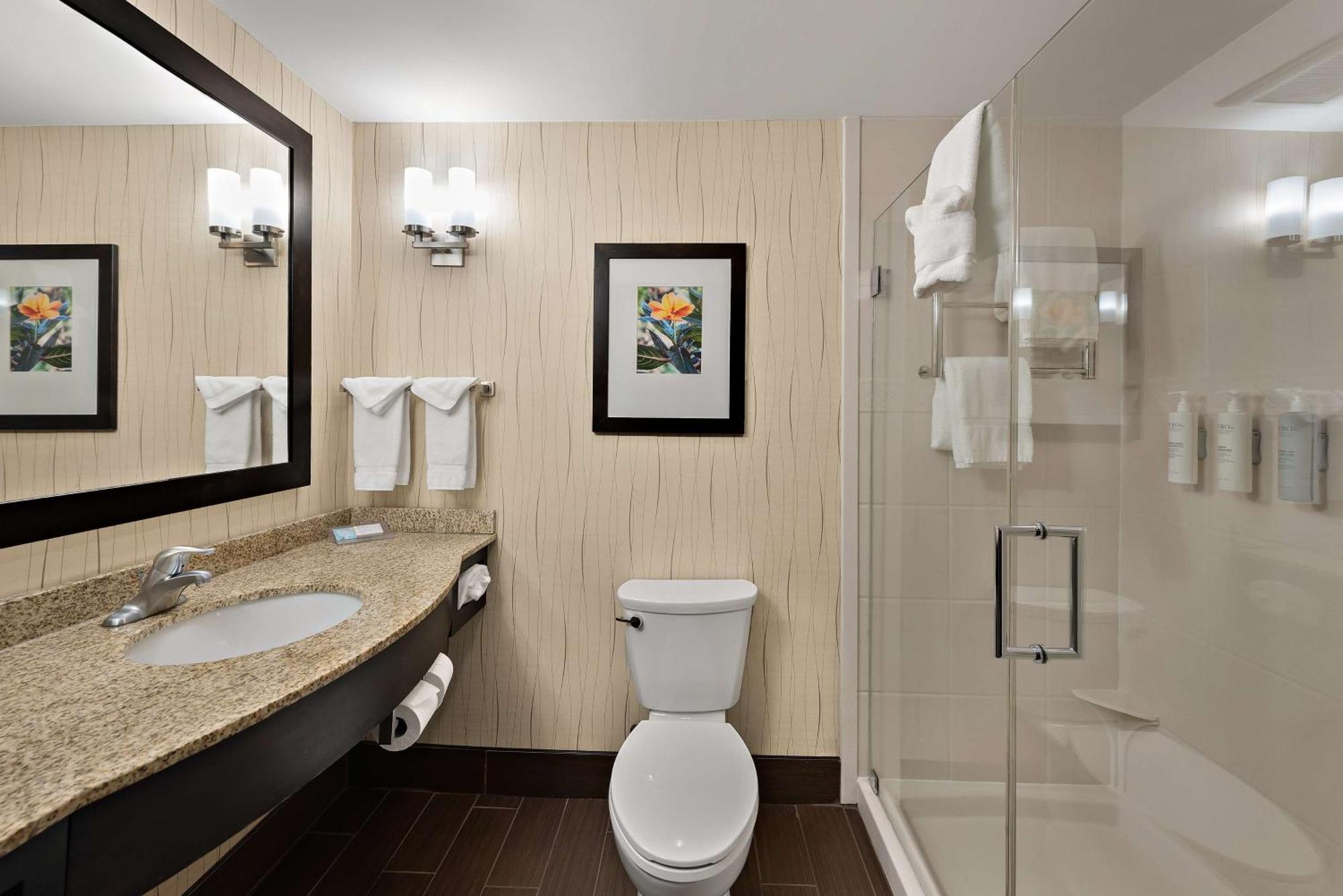 Hilton Garden Inn Findlay Eksteriør bilde